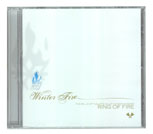 Winter Fire